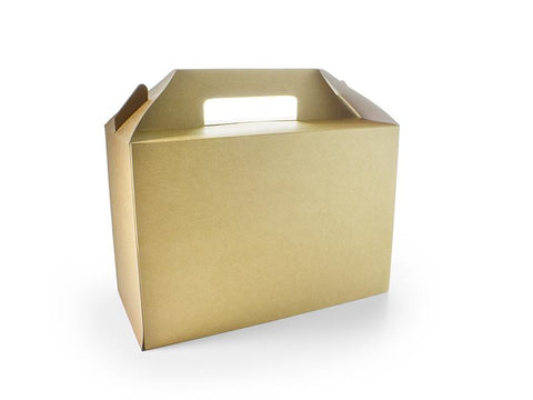 Large carry pack (26.5 x 18 x 12.5cm)